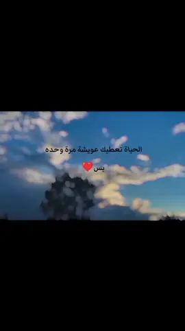 ع سباااها🥹❤️‍🔥❤️‍🔥❤️‍🔥❤️‍🔥❤️‍🔥. #عرب_تيك_توك #مشادة #لايك_متابعه_اكسبلور 