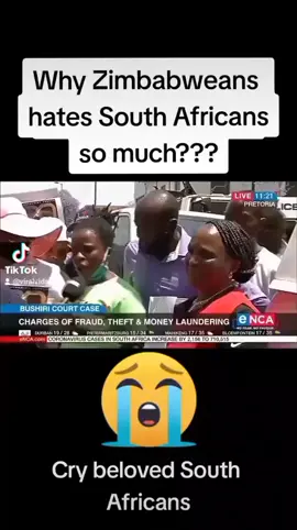 Why do Zimbabwean hate South Africans so much?