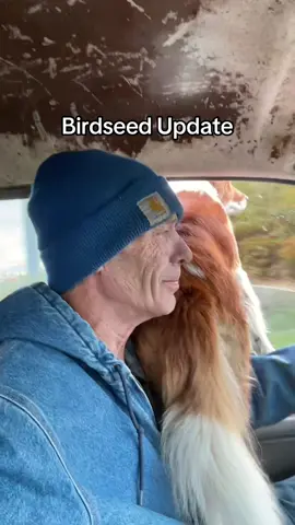 #birdlovers #penningtonwildbirdseed #followup #olekerrvibes #fyp 