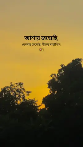 যার প্রতি যত আশা করেছি সে আমাকে হতাশ করেছে...🥲❤️‍🩹#foryoupage❤️❤️ #trending #trendingsong #grow #bdtiktokofficial @TikTok Trends @TikTok 
