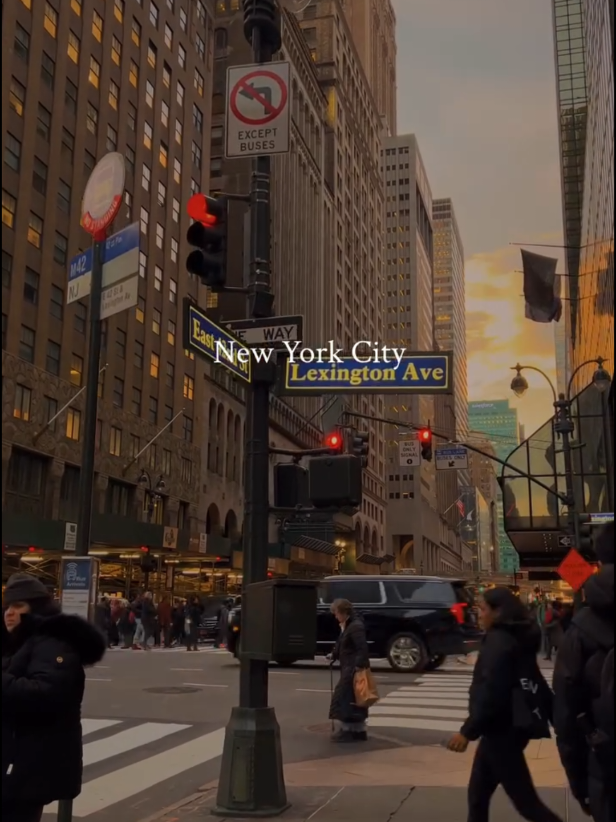 If this isn’t living, I don’t know what is 😍🌆 #NewYork #TimesSquare #Viral #Inspiration #NYC 