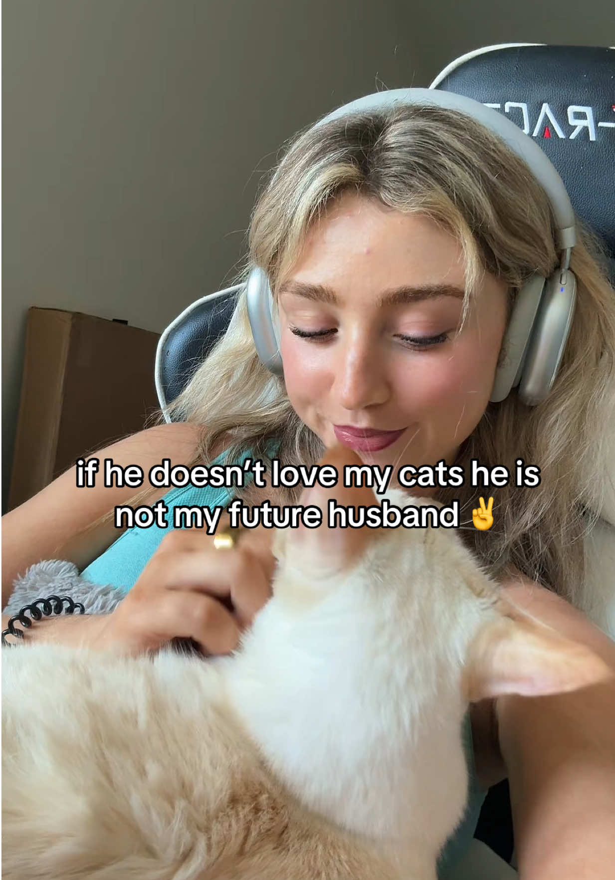 my cats are my entire life genuinely #cats #dating 