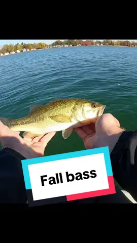 What’s the latest you’ve been out on the water? #fishtok #fishing #bassfishing #fishingtiktoks #fishinglife 