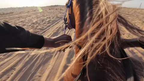 حُريّة - Freedom #خيل_وخياله🐎 #خيل 