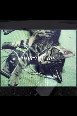 #repost #literallyme #cat #music 