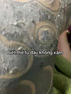 Xăm xong không thấy đẹp #xung 