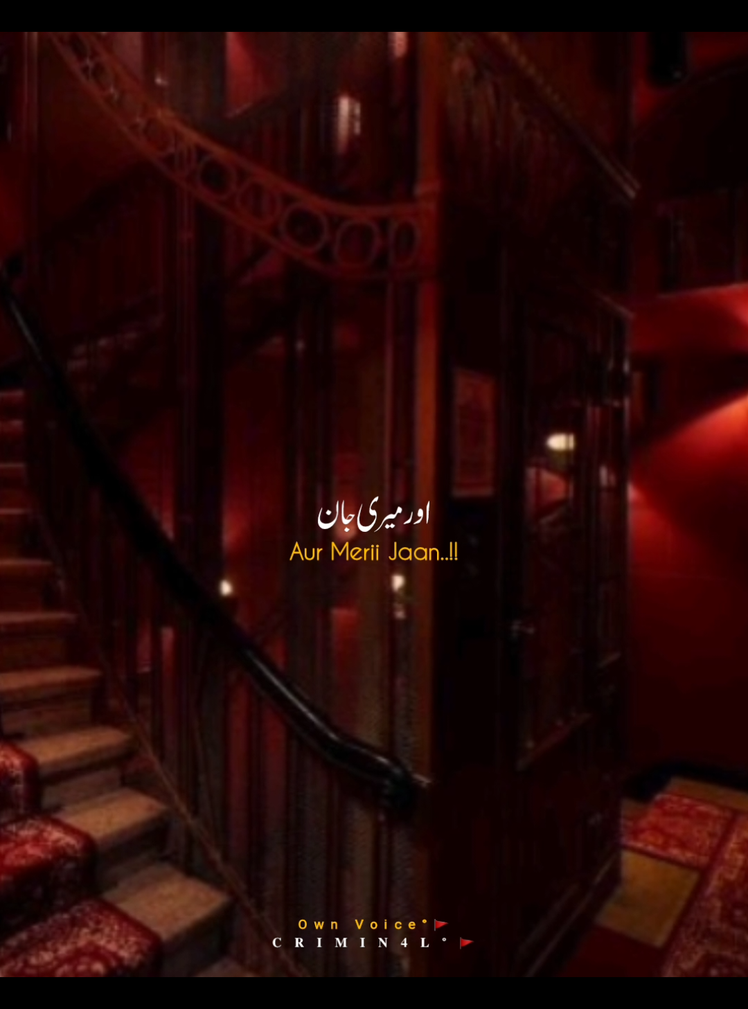 Yess Merii Jaan__🥵🚩 Own Voice__🚩❤️ . . . #foryou #attitude #1million #goviral #standwithkashmir 