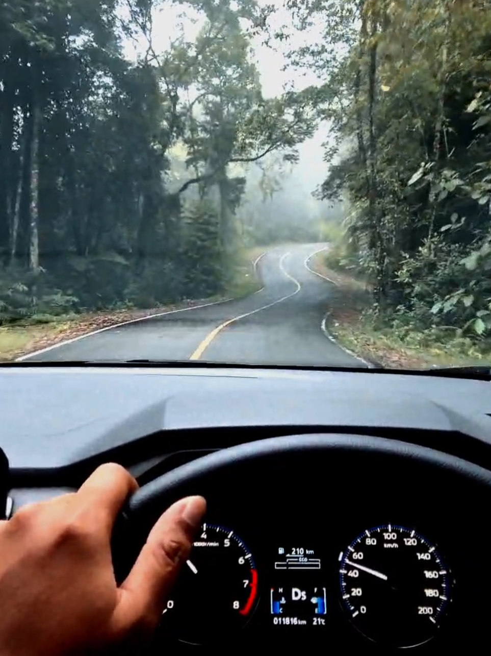 jalan lintas #aceh #huaweifit4pro  #hutan #huaweifit4  #tiktokgo 