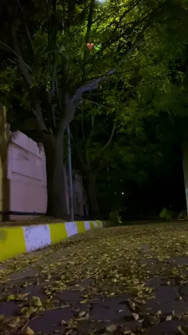 🤎🍃…#fypシ゚ #viral #tiktok #foryou #selwa🦋 