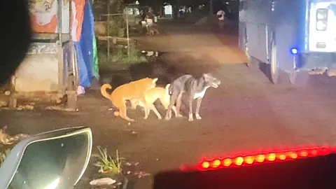 မင်းတို့ဟာကြီးက အဲ့လောက်ကြ#myanmartiktok🇲🇲🇲🇲 #fyp 