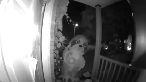 Every kids disappointment, a house with no candy.   lol. #sorrykids #halloween #nocandy 