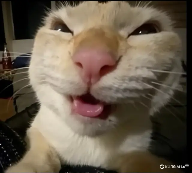 Mengapa ? #yinlin #yinlinwutheringwaves #wutheringwavesedit #margawof #fyp #masukberanda #berandatiktok #fakebodyy⚠️ 