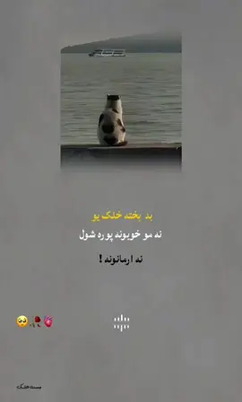 #creatorsearchinsights #foryou #foryoupage 