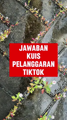 Jawaban kuis pelanggaran tiktok 🫶 #fyp #affiliatetiktok #affiliatepemula 