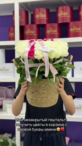 #гештальт #шымкент #безповода #буква 