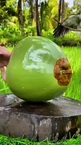 #اللهم_صلي_على_نبينا_محمد #تجمع_الأخوة_في_الله #المتحابون_في_الله 