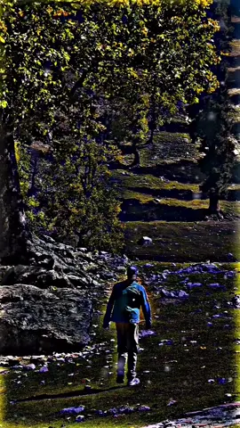 #zaki #foryou #trending #voice #কপি_লিংক_করো_প্লিজ_প্লিজ 