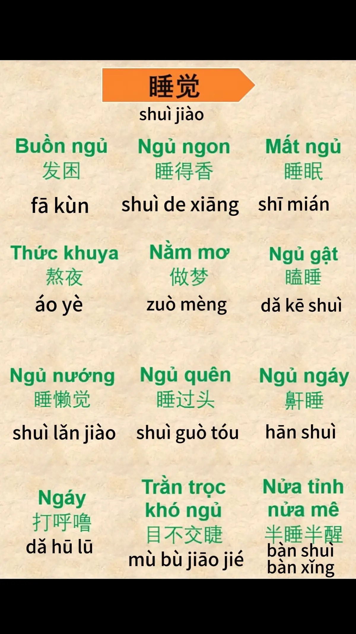 Từ vựng liên quan đến ngủ 睡觉 #hanngu #hoctiengtrung #tiengtrungonline #humor #z #a #tik_tok 