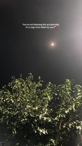 Take it as a sign❤️ #Allah #Quran #tilawah #quran_alkarim #muhammadsaw 