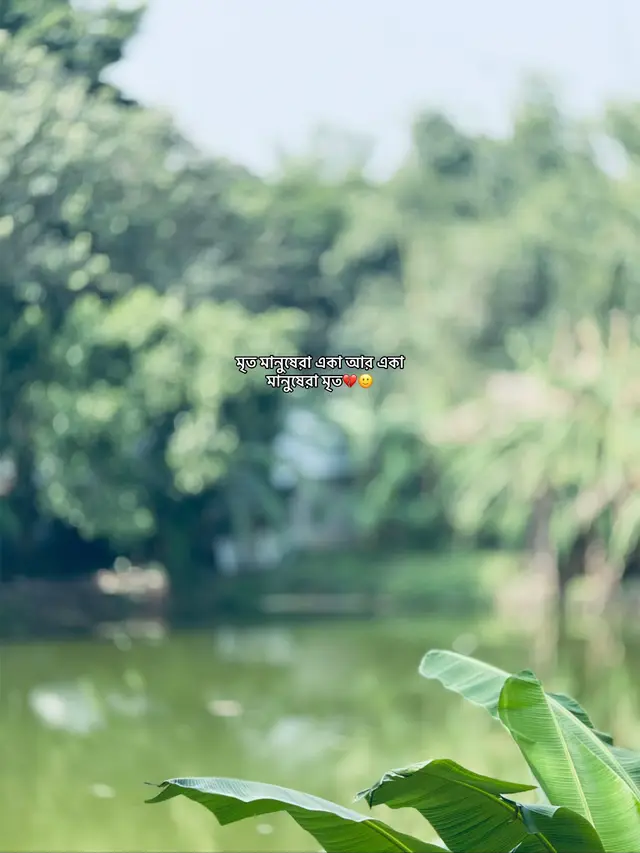 #Outfit cowok Berwarna#foryou #10millionadoptions 