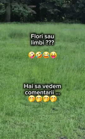 Deci... ce e mai bine oare?