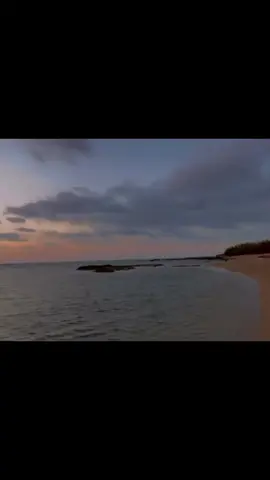 #CapCut عنيد بس الكلب اكبر من عنادك #مجرد________ذووووووق🎶🎵 #بدون_موسيقى 