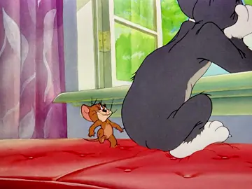 #tom #jerry #tomandjerry #jerryandtom
