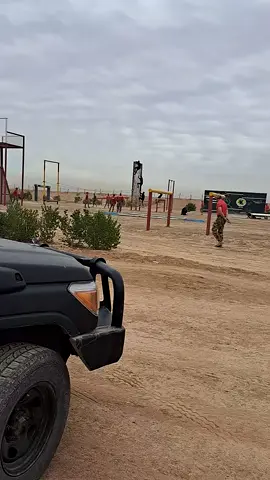 #شعب_الصيني_ماله_حل😂😂 #اكسبلور 