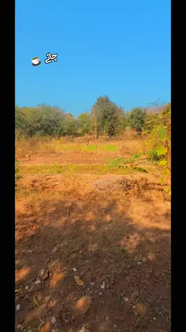 Chayee rawraa kaar ba beya okoo 😁😊😊😊❤️#plzunfrezemyaccount #tiktokviral #repost #viwesproblem #peace 