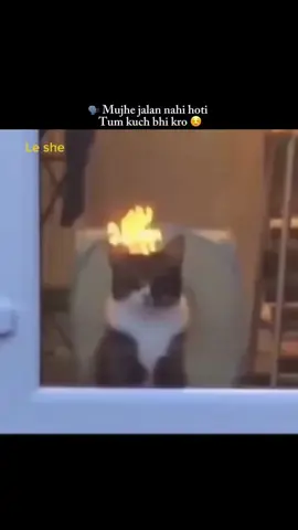 Huhh☠️🌚🙃❤️#viralvideo #foryou #veiwsproblem #growmyaccount          @tiktok creators #creatorsearchinsights 