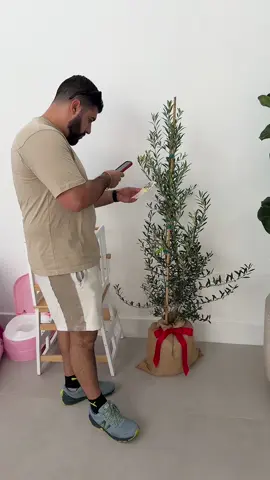 I think he loves the new trees 🤣 