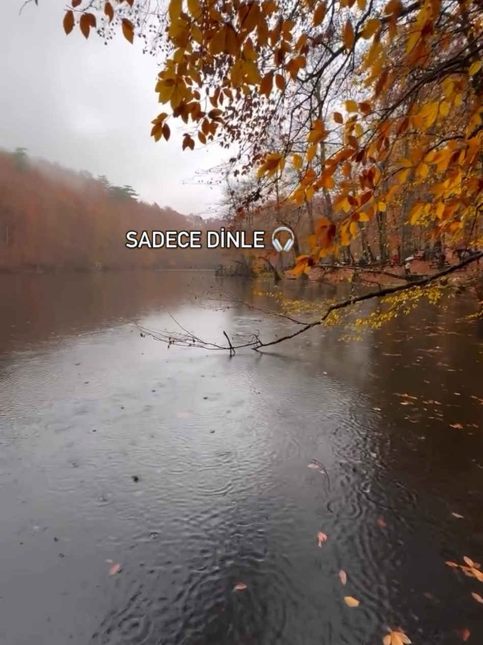 🍂#_balim08_ #bursa #kesfet #sarki #biryaprakdahadüştü 