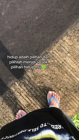 Semogga tumbuh semanggi di sela-sela retak mu☘️#fyp #fypage #fypdong #fypシ゚ #clovers 