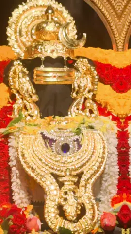 Pradosham 3.11.2025 @KAMPUNG PANDAN SIVAN TEMPLE #mahadev #sivan #fyppppppppppppppppppppppp #fyi 