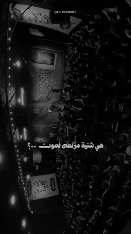 #مرتضى_حرب ااااخ . . . . . . . . #فاطمة_الزهراء  #fyp  #اكسبلور 