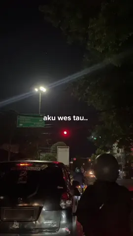 nyapo ngaleh jare tresno