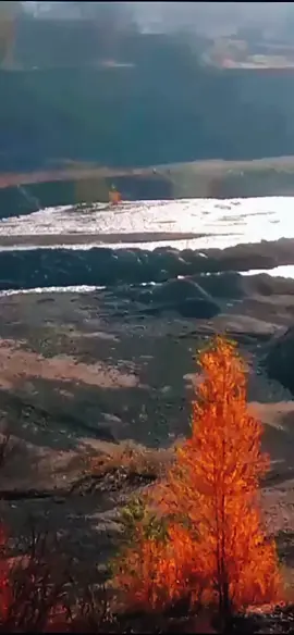 #жизнь #новаяжизнь #зановуюжизнь #земля #рекирекомендации 