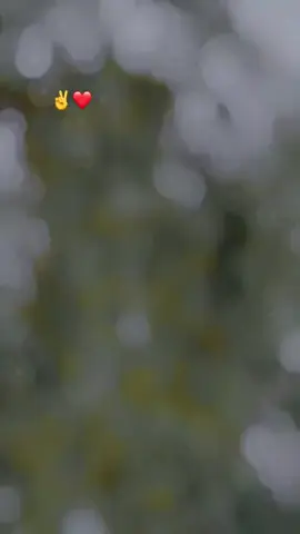 Da Husan nade ter she da wakhtona ba de tal#foryoupage #unfrezzmyaccount #foryoupage #foryoupage #foryoupage 