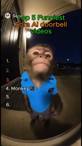 Top 6 funniest Sora AI doorbells videos #top5 #funnytiktok #viral #ai #soraai 
