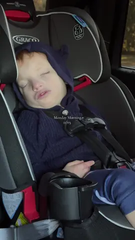 Restocking & morning breakfast.. the birthday boy decided to sleep through the entire thing 🫠 