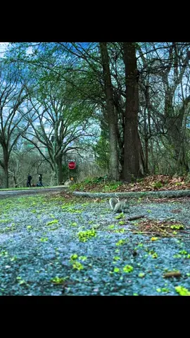 🥹❤️💯⚔️@Babatchai  Blindé 💪🏾❤️ 