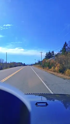 just another day with my jeep dog