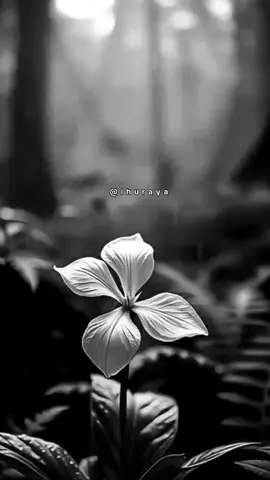 من يعرف قيمته لا يشرحها ليس تكبّراً.. بل وعي بالمقام. #حكمة #اقتباس #خواطر  #صوت_هادئ #كلمات_راقية