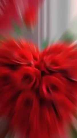 #اكسبلورexplore #تمزيغت♓🥰وافتخر😇🥀 #تيزنيت #اكدير #اكسبلورexplore 