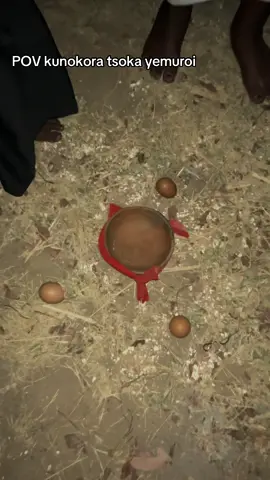 POV uchida kuromba wonzi huya nechero tsoka yemunhu 😅😅😅😅#midnights #witches #goviralvideo #zimcelebs 