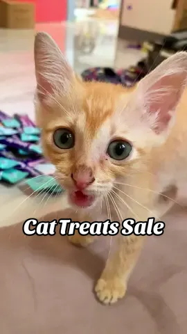 Cat Treats Affordable Sale Today! #cattreats #catsnack #affordable #sale 