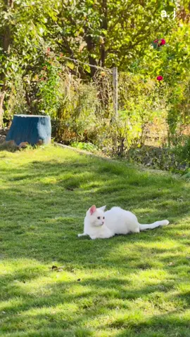 #snapchat adres jabar#instagram adres jabar#guhana #گوند 