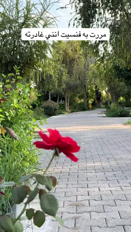 #موسيقى#الياس_الرحباني #خواطر_من_القلب❤️ #هاشتاق 