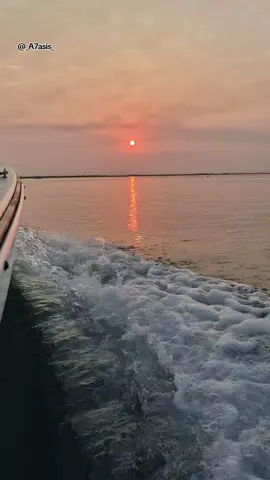 لو كان بخاطري أنا  لو كان بكيفي كمان  ما كنت أسيبك يوم  #أمال_ماهر#اكسبلور 