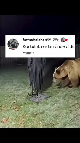ayının korkmasına kopdum 🤣🤣🤣🤣 #komedialemi #komedi #mi̇zah #funny #şaka 